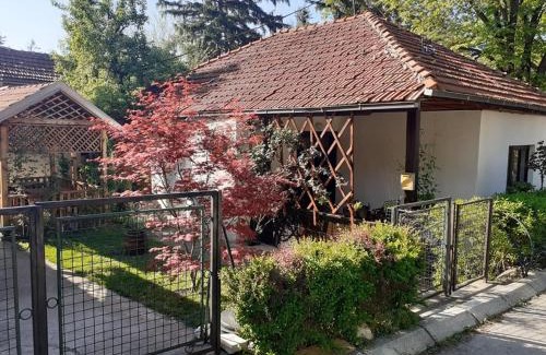 Soko Banja Apartment | Kuca za odmor Ana, Sokobanja