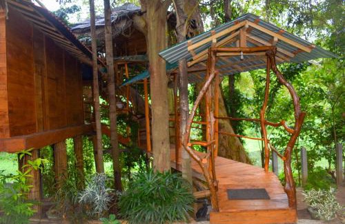 Debarawewa Villa | Kumbuk Tree House