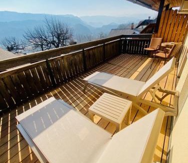 Radovljica House | Kunstelj Pension