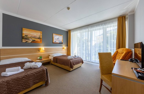 Frantiskovy Lazne Hotel | KurHotel Brussel