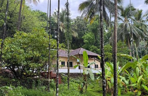 Talipparamba Apartment | Kurinjirappallil Farms Homestay