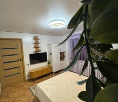 Slanic-Moldova Apartment | KUZINATRA Apartament