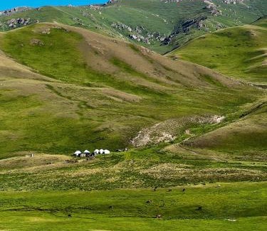 Naryn Region Apartment | Kyrgyz travel