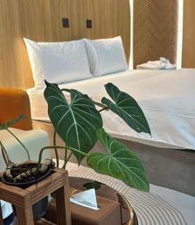 Long Xuyen Bed & Breakfast | Lá Garden Homestay