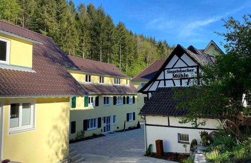 Neckar-Odenwald-Kreis District Apartment | Lärche - Siegelsbacher Mühle