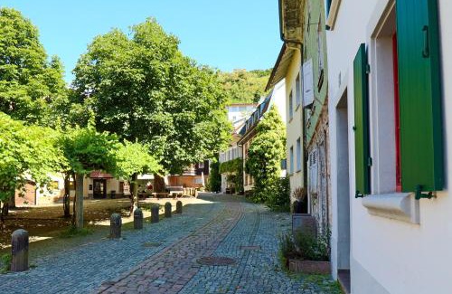 Waldshut-Tiengen Apartment | Löwe Apartment Gelb Tiengen Altstadt