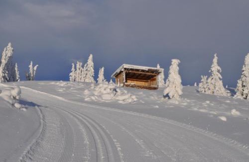 Gol Municipality House | Løstegård Cabins