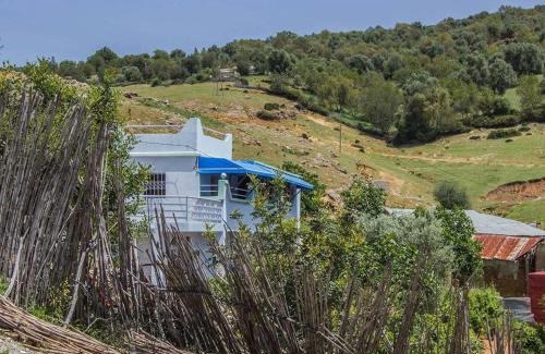Kissane House | L île de caroubier