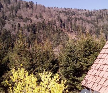 Mittlach Ski Chalet | L Annexe