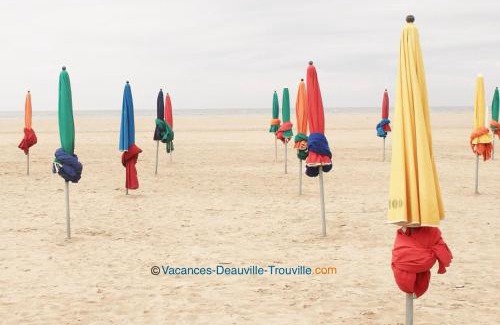 Trouville-sur-Mer Apartment | L IDEAL 56 (RDC sur rue) dans Triangle d Or (plage et casino à 300m)