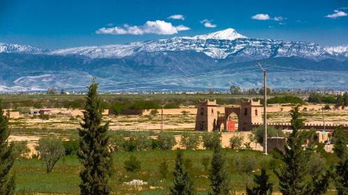 El Aggada House | L'OLIVERAIE DE L'ATLAS
