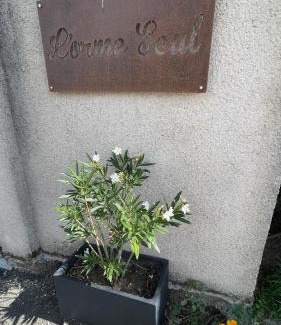 Nouan-sur-Loire Bed & Breakfast | L'Orme Seul, Gîte