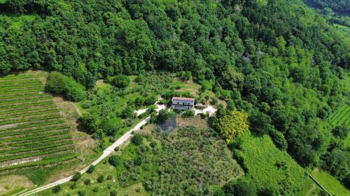 Nimis Bed & Breakfast | L’Oro di Nonna Adele
