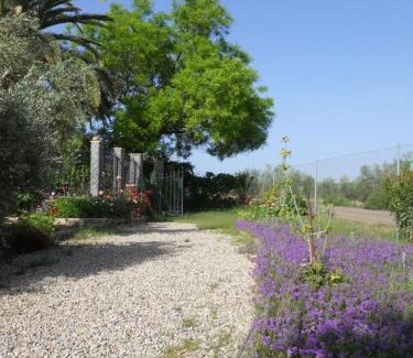 Marmolejo House | La Aragonesa
