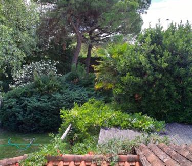 Ca' Savio House | La Bricola