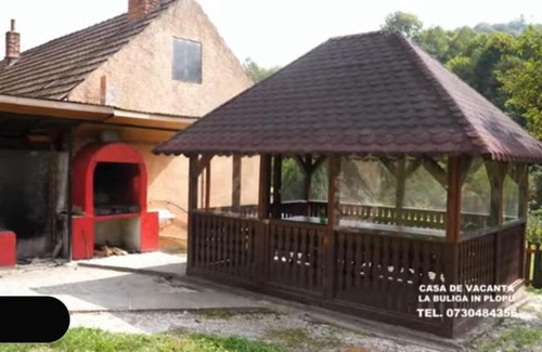 Armenis House | La Buliga la Sălaș
