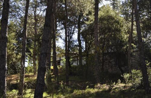 El Barraco House | La cabaña del Burguillo