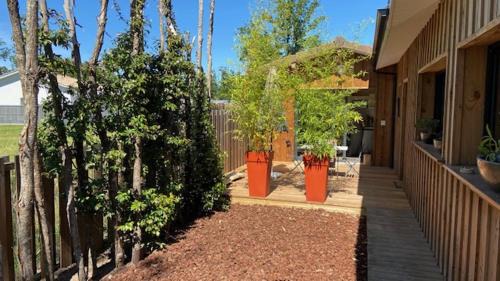 Ares Apartment | La cabane de marie