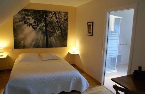Cleder House | La Canopée des pins
