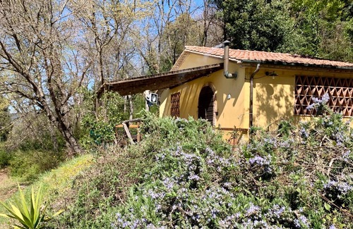 Montescudaio Apartment | La Capinere 2 2