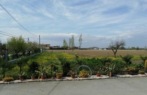 Codevigo House | LA CARLOTTINA