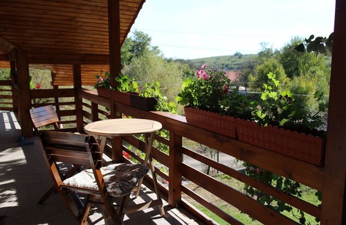 Catunele House | La Casa Boierului Farm Stay
