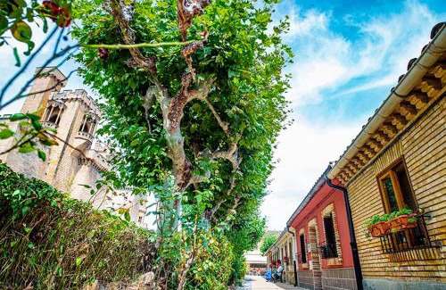 Olite Apartment | La casa de la abuela