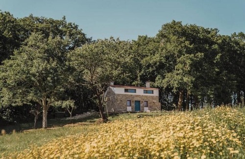 Maceira Apartment | La Casa de la Pradera