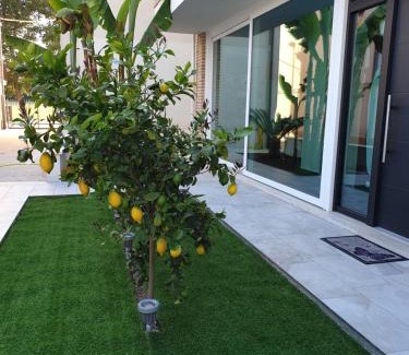 Porto Sant'Elpidio Bed & Breakfast | la casa dei limoni