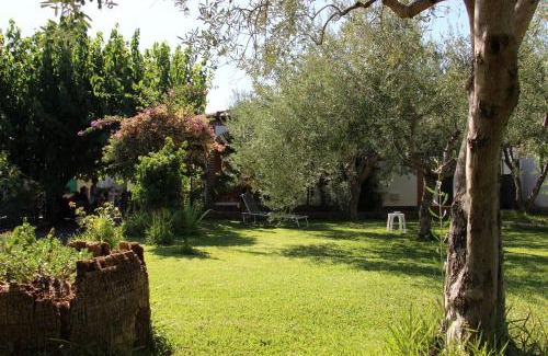 Mitogio House | La Casa Dell'antiquario