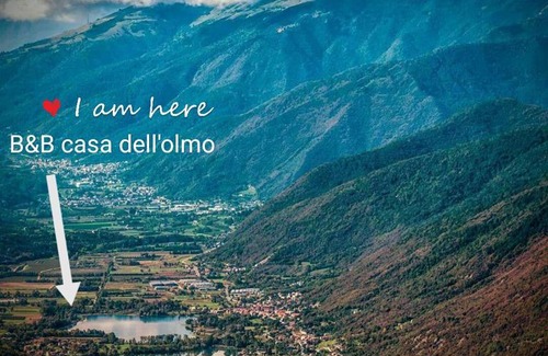 Tarzo House | La casa dell'Olmo