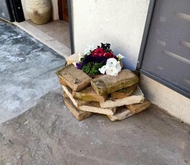 Montenero di Bisaccia Apartment | La casina di Alicia