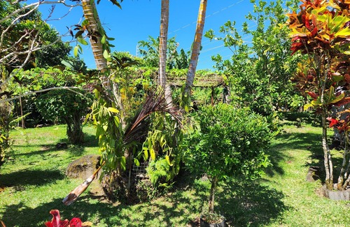 Sainte-Rose House | La Caz Mangoustan