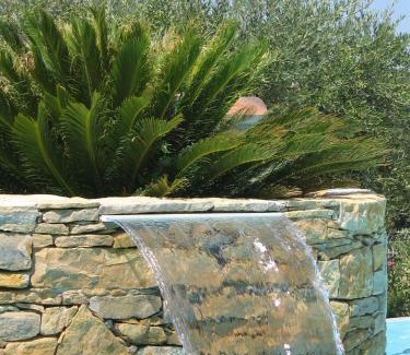Bandol Bed & Breakfast | la cigale sous l'olivier