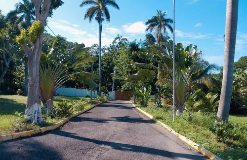 Reading Villa | La Costa Villa