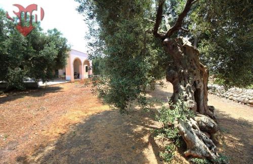 Torre Vado Villa | La Cupa - Torre Vado by LoveSud