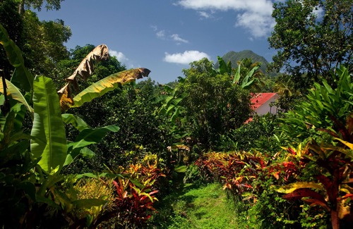 Choiseul Quarter House | La Dauphine Estate