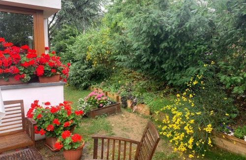 Monzuno Apartment | La dimora di Dafne 48