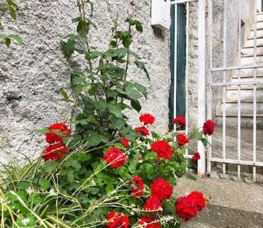 Teriasca Apartment | La dolce vita