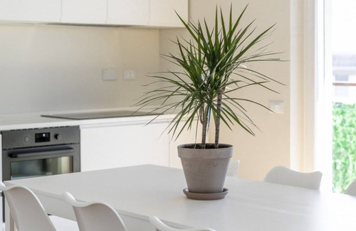 Quartiere XI Portuense Apartment | La Dolce Vita - Trastevere Station Sunny Penthouse