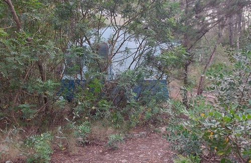 Santa Gertrudis RV Rental | La Carpa Bouddha au Cœur de la Forêt