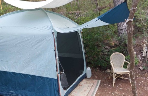 Santa Gertrudis RV Rental | La Carpa Bouddha au Cœur de la Forêt