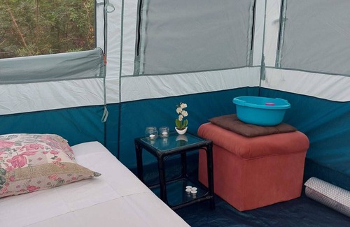 Santa Gertrudis RV Rental | La Carpa Bouddha au Cœur de la Forêt