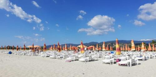 Isca Marina Hotel | La Feluca