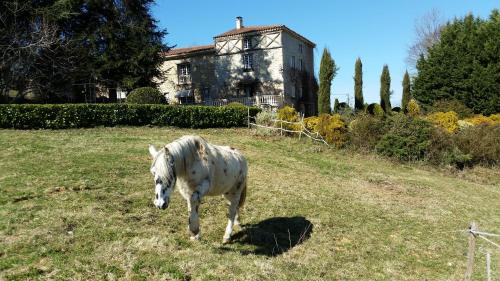Saint-Girons Bed & Breakfast | La Ferme de Jeanne