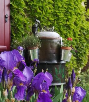 Mouterre-Silly House | la Ferme du Grand Bois
