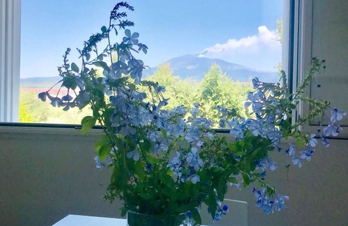 Belpasso House | La Finestra Sull'Etna - Guest House