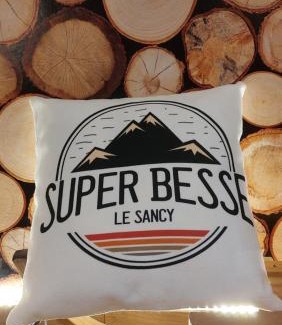 Besse-et-Saint-Anastaise Apartment | La forêt des Marmottes