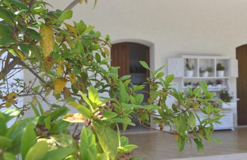 Lizzanello Villa | La Frantoiana