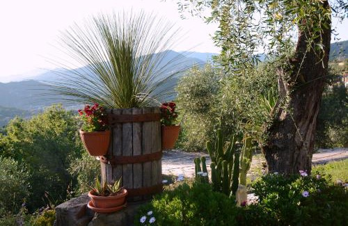 San Salvatore Bed & Breakfast | la gatta sul sentiero